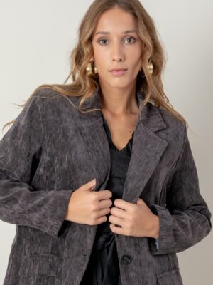 Blazer Velvet